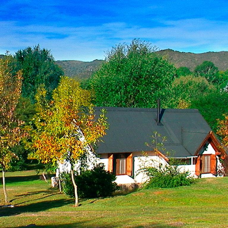 Cabañas Am Bach - Bungalow (4 a 6 adultos) - 8