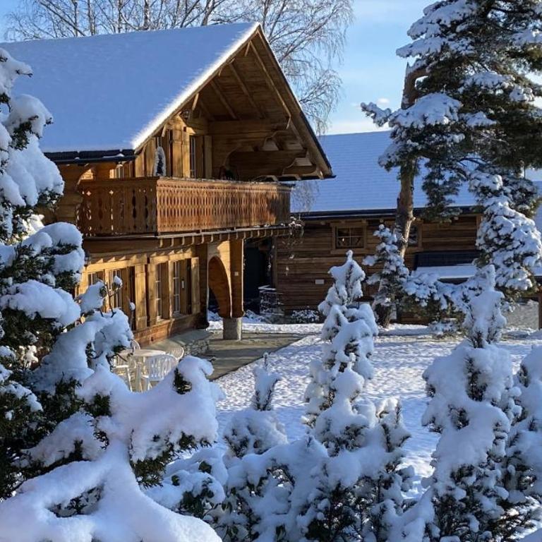 Chalet familial traditionnel - Chalet - 19