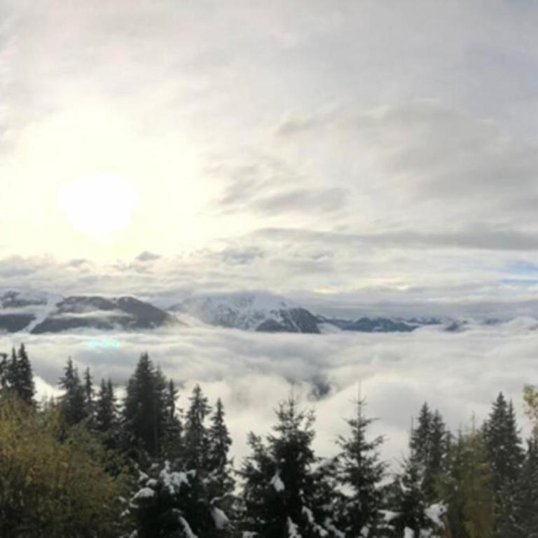 Magic Ski-In-And-Out Chalet above Verbier - Chalet - 29