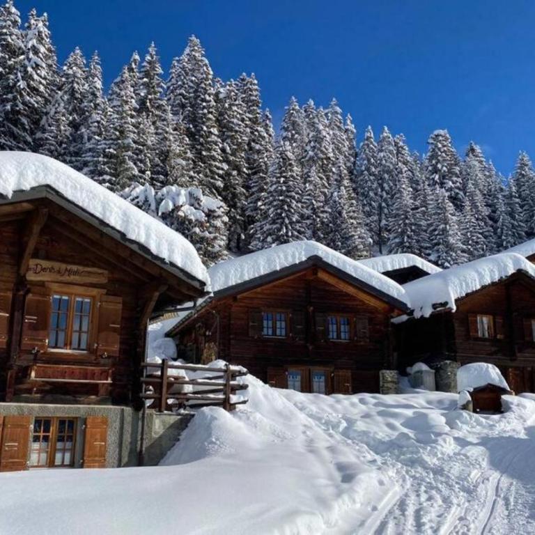 Magic Ski-In-And-Out Chalet above Verbier - Chalet - 25
