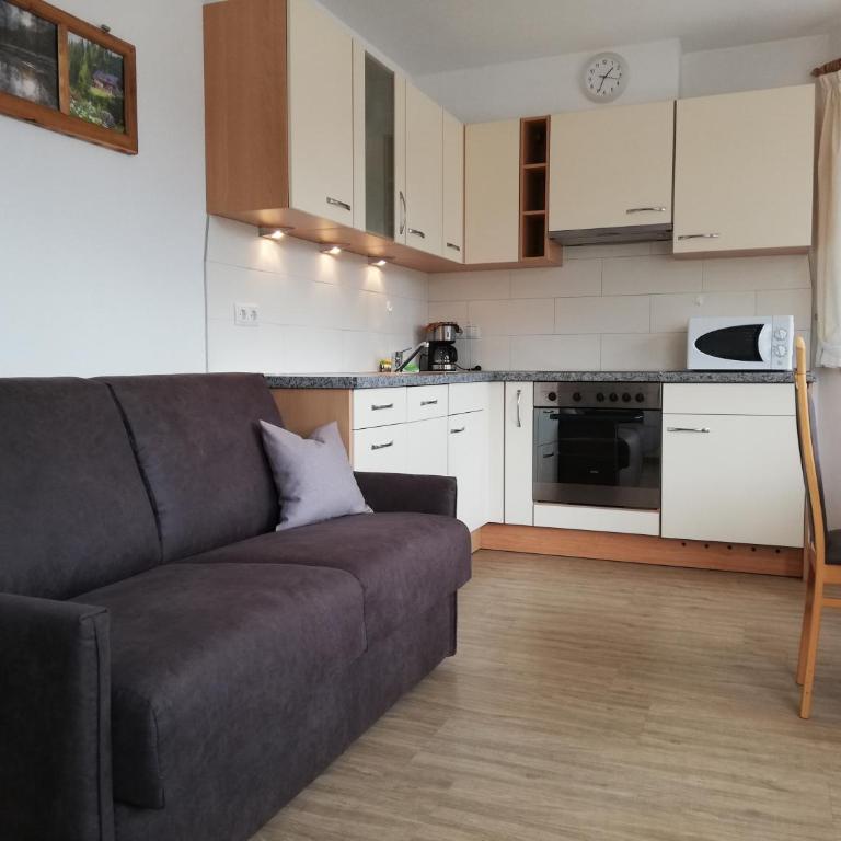 Pramstaller Apartments - Appartamento - Piano Terra - 9