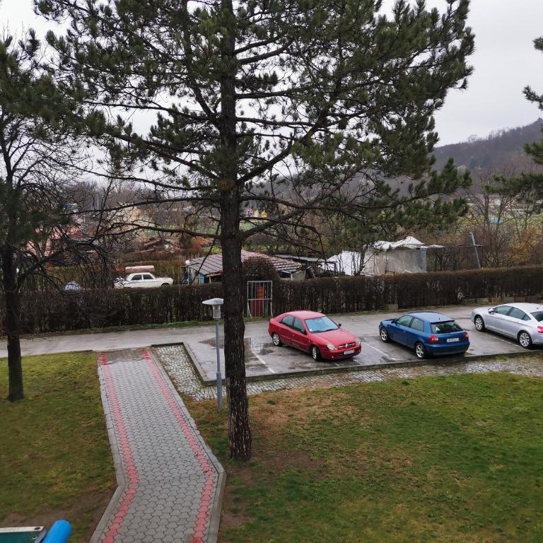 Apartmani Jasa - Studio - 3