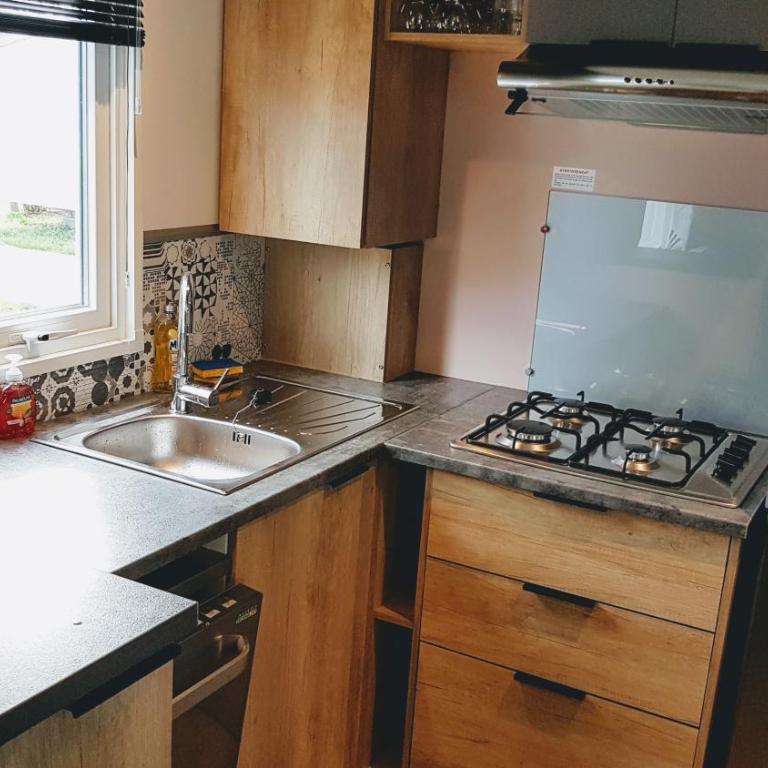 Mobile home De Luxe St Cyprien - Mobilheim - 25