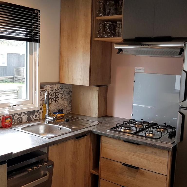 Mobile home De Luxe St Cyprien - Mobilheim - 26