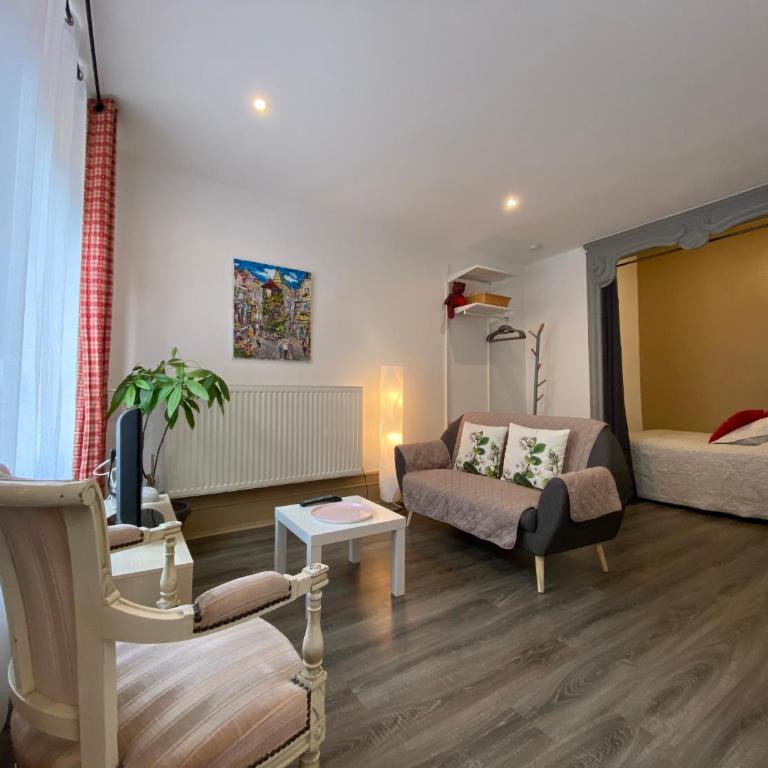 L'Ours de Colmar - Appartements en centre ville - Appartamento - Piano Terra - 1