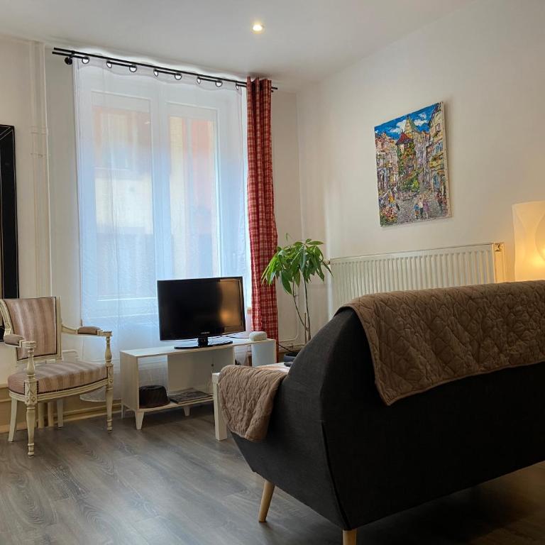L'Ours de Colmar - Appartements en centre ville - Appartamento - Piano Terra - 5