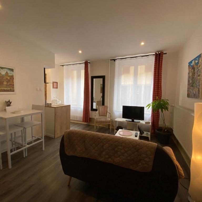 L'Ours de Colmar - Appartements en centre ville - Appartamento - Piano Terra - 4
