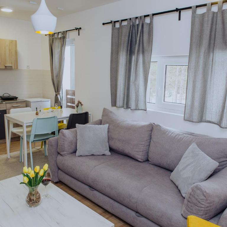 Planinsko srce - Apartman sa 1 Spavaćom Sobom - 1