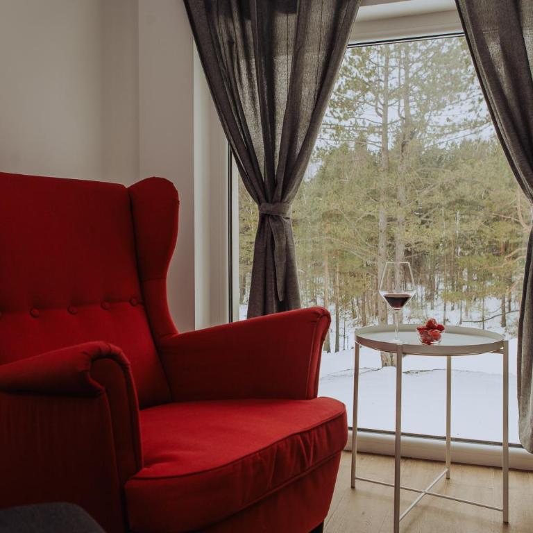 Planinsko srce - Apartman sa 1 Spavaćom Sobom - 9