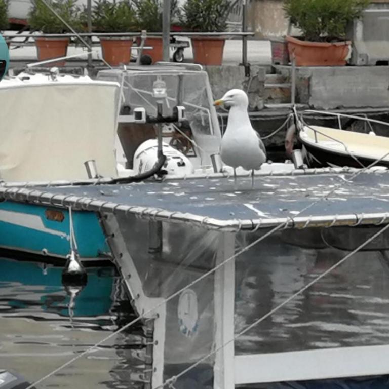 Casa Lo Scoglio Della Ballerina - Appartamento con 1 Camera da Letto - 26