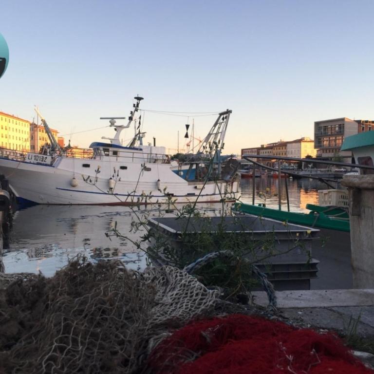Casa Lo Scoglio Della Ballerina - Appartamento con 1 Camera da Letto - 24