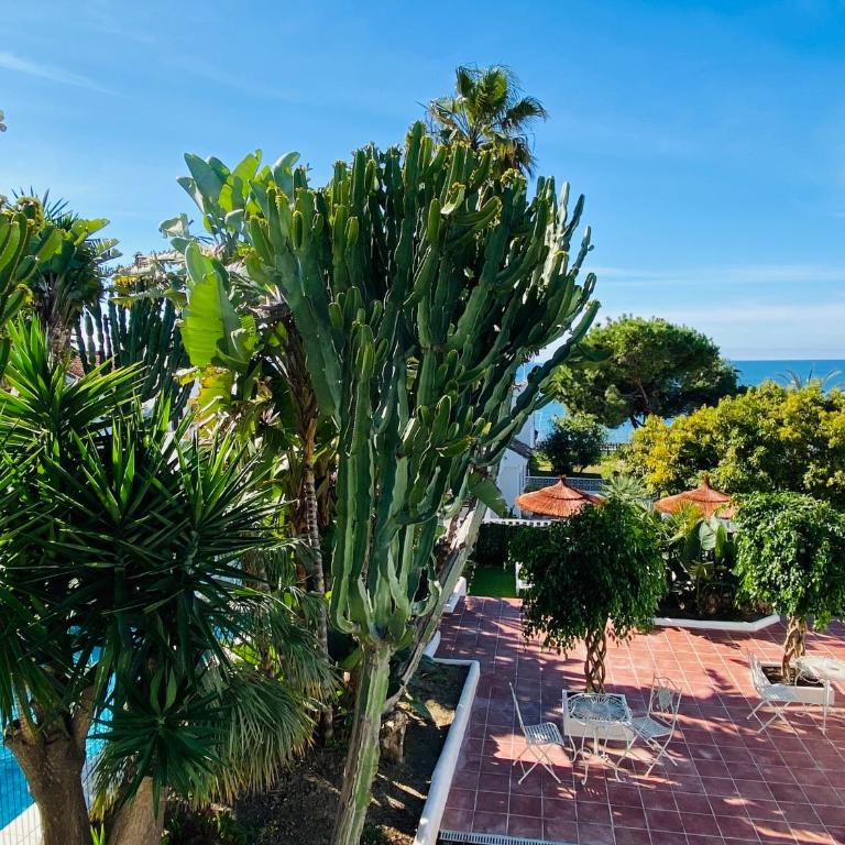 Apartments with tropical garden and sea water pool - One-Bedroom Apartment - 25