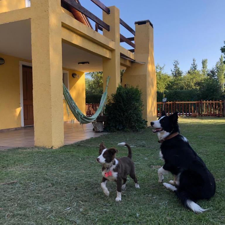 Sonnen Haus - Casa de 2 dormitorios - 22