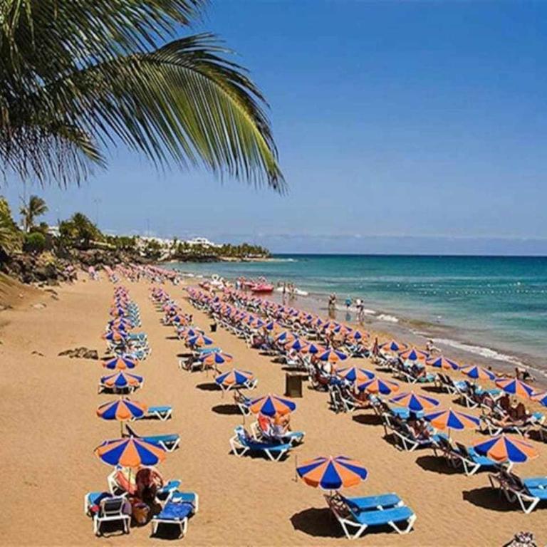 ** Saline Ocean ** Puerto del Carmen - Apartment - 20