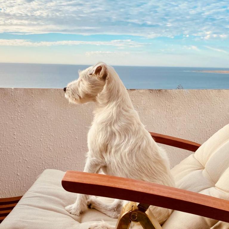 Exclusive Bungalow with Stunning Sea Views by 75Steps - Apartamento de 1 dormitorio - 30