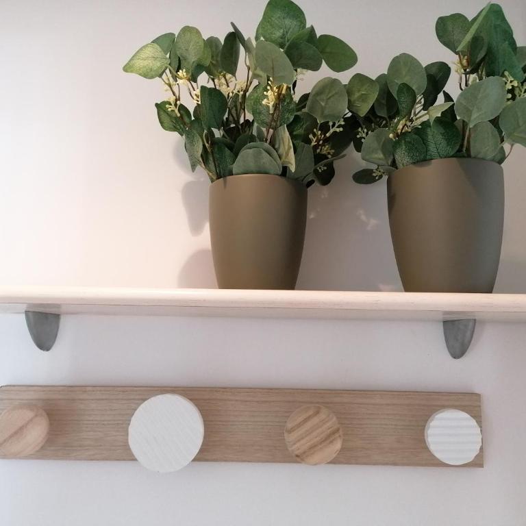 EDIFICIO BAHÍA DEL SOL - Apartamento de 2 dormitorios - 15