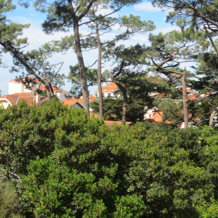 Appartement Pour 4 Personnes- Residence L accalmie - Two-Bedroom Apartment - 18