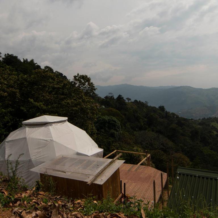 Entre Verdes Hotel & Glamping - Bungalow with Garden View - 4