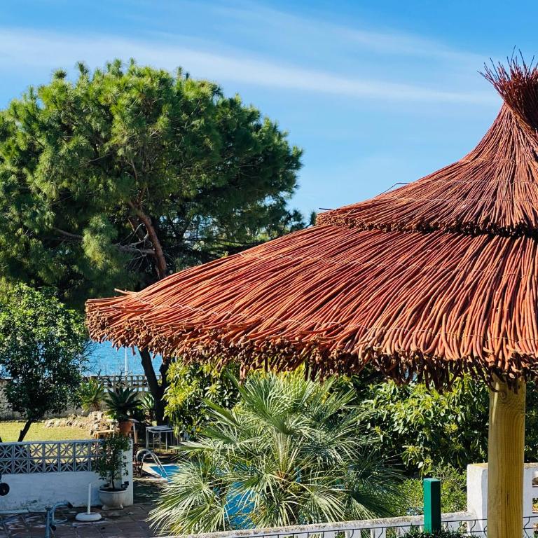 Apartments with tropical garden and sea water pool - One-Bedroom Apartment - 21