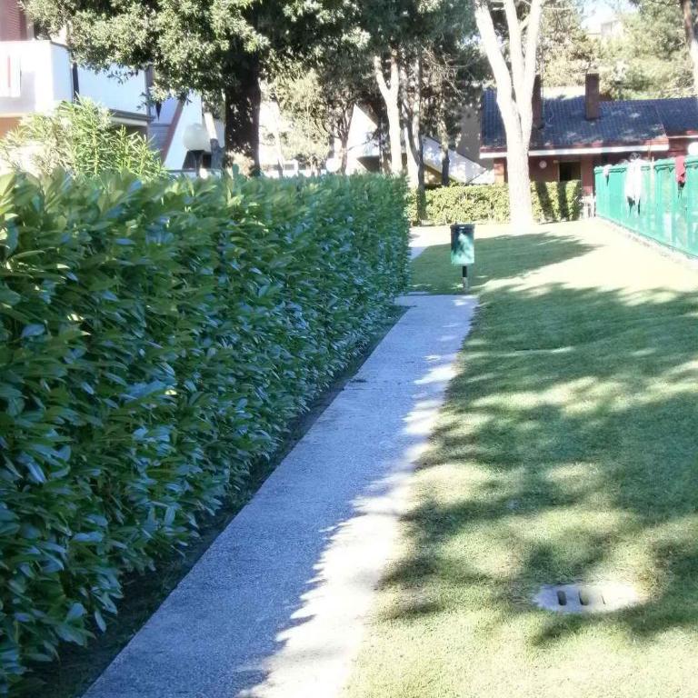 Apartments in Bibione 24604 - Appartamento - 17