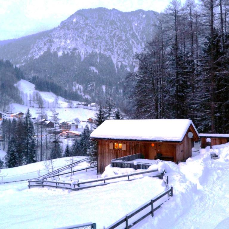 Älmele - Waldchalets Brandnertal - Casa con 2 Camere da Letto - 6