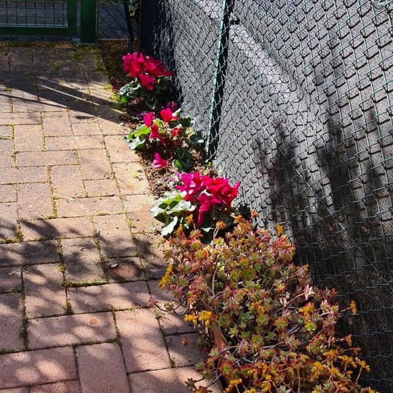 Jasmine Country House - Appartamento su 2 Livelli - 3