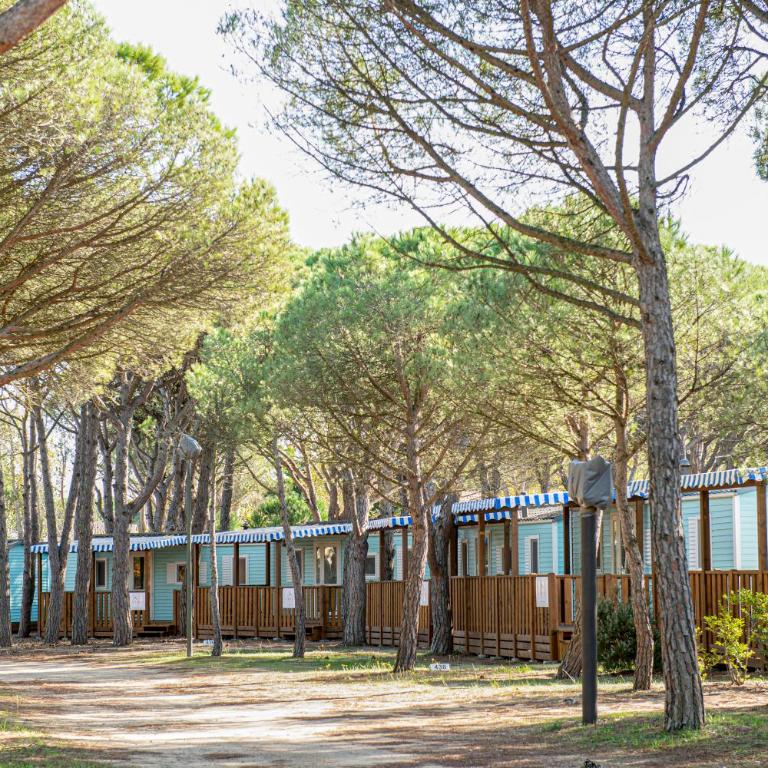 Albatross Mobile Homes on Camping Playa Brava - Casa Móvil Venus - 2