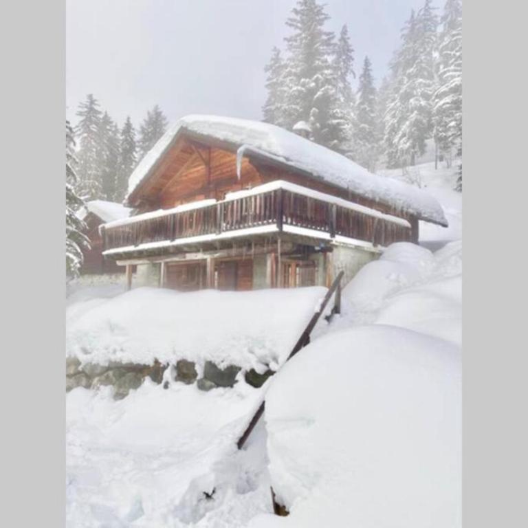 Magic Ski-In-And-Out Chalet above Verbier - Chalet - 24