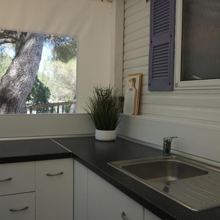 Chalets with kitchen outside at Camping Leï Suves - JoyCasa - Mobile Home - 2