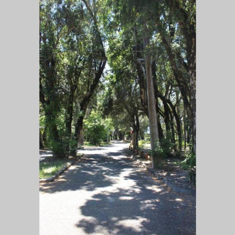Hermoso depto a pasos del lago y centro de Pucón - Apartamento de 3 dormitorios - 33
