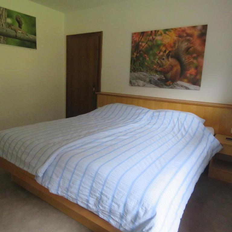 Alpenhaus Denver - Appartement 1 Chambre - 4