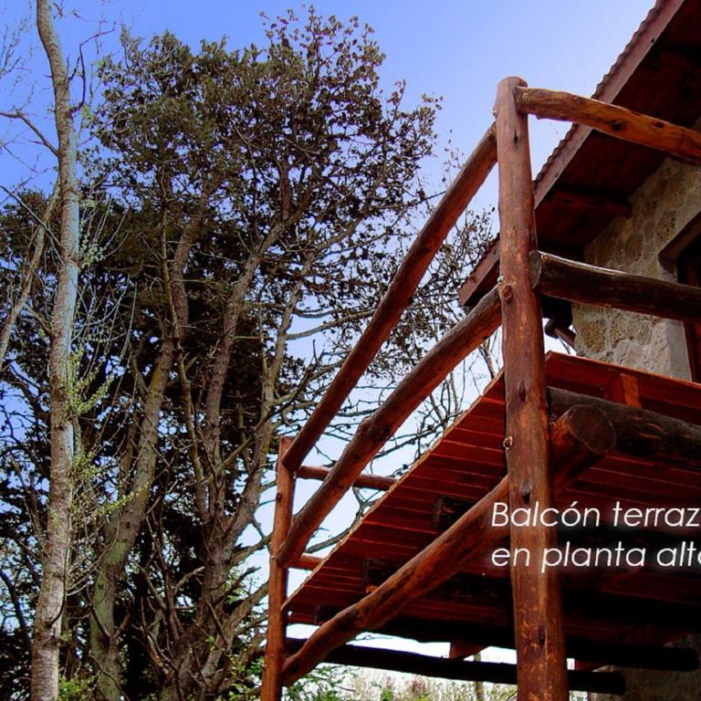 Complejo Casa Caracolnegro - Classic Quadruple Room - 9