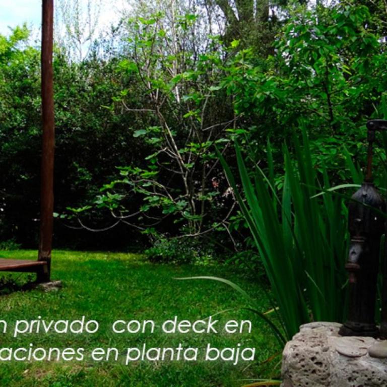 Complejo Casa Caracolnegro - Classic Quadruple Room - 10