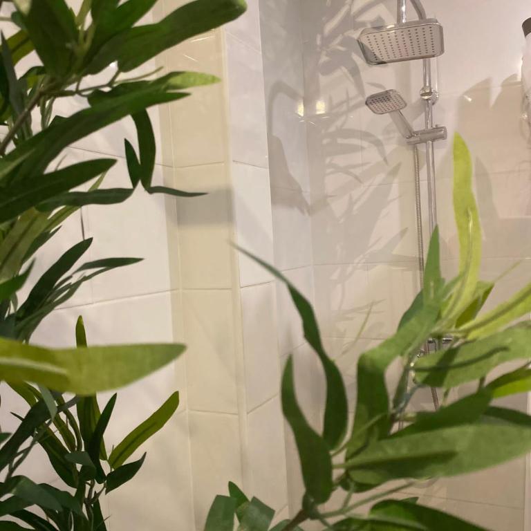 Sonneland Canary Spa - Two-Bedroom Apartment - 36