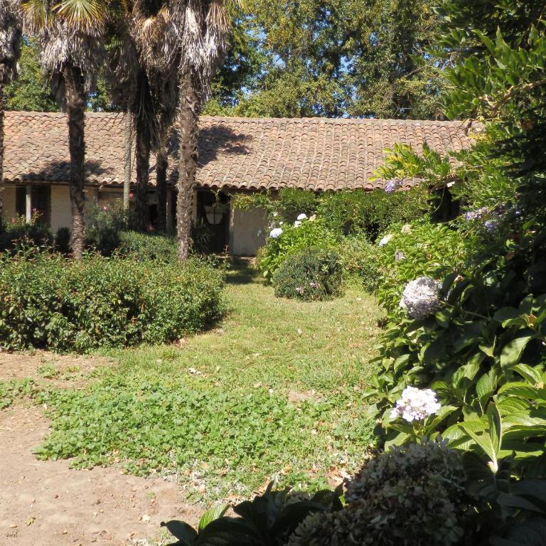 Turismo Rural Lo Vilches - Apartamento de 1 dormitorio - 1
