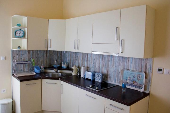 Vila Galerija - Apartman sa 2 Spavaće Sobe - 6