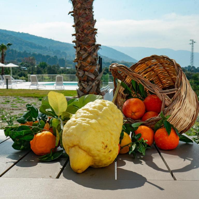 Resilienza Apartment - Monolocale - 6