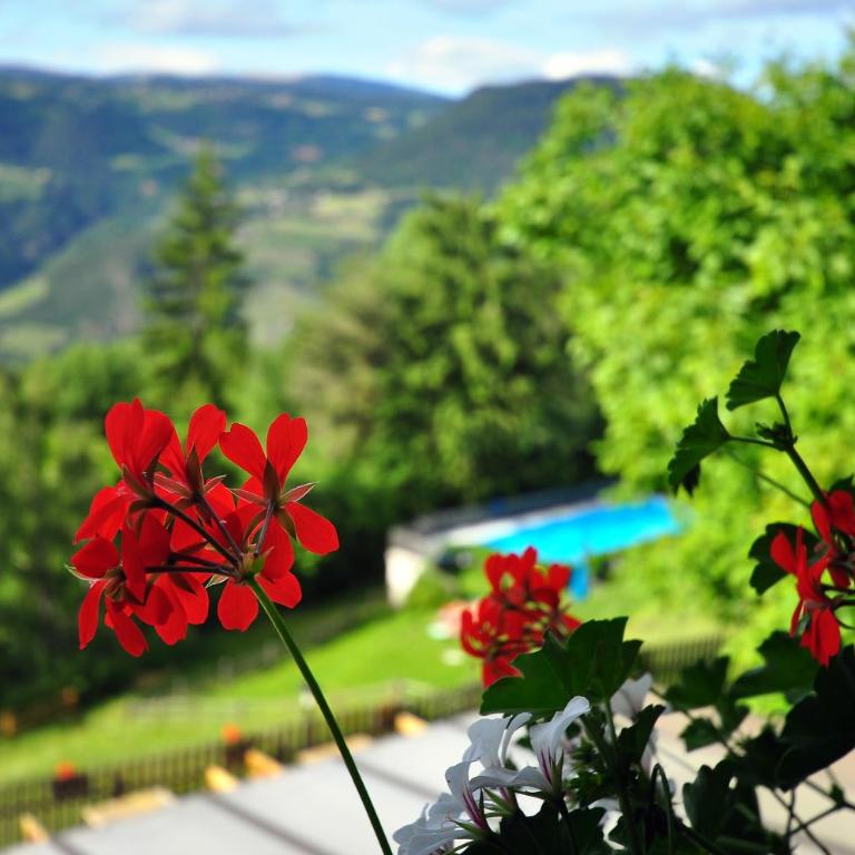 Bad St Isidor - Camera Matrimoniale con Balcone - 4