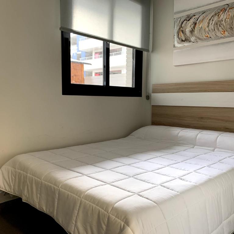 Apartamento con jardín en primera linea de playa con parking y piscina - Apartamento - Planta baja - 16