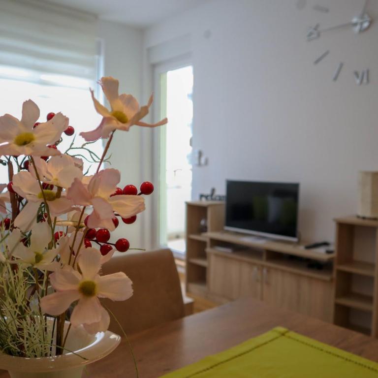 King's park apartment - Apartman sa 1 Spavaćom Sobom - 3