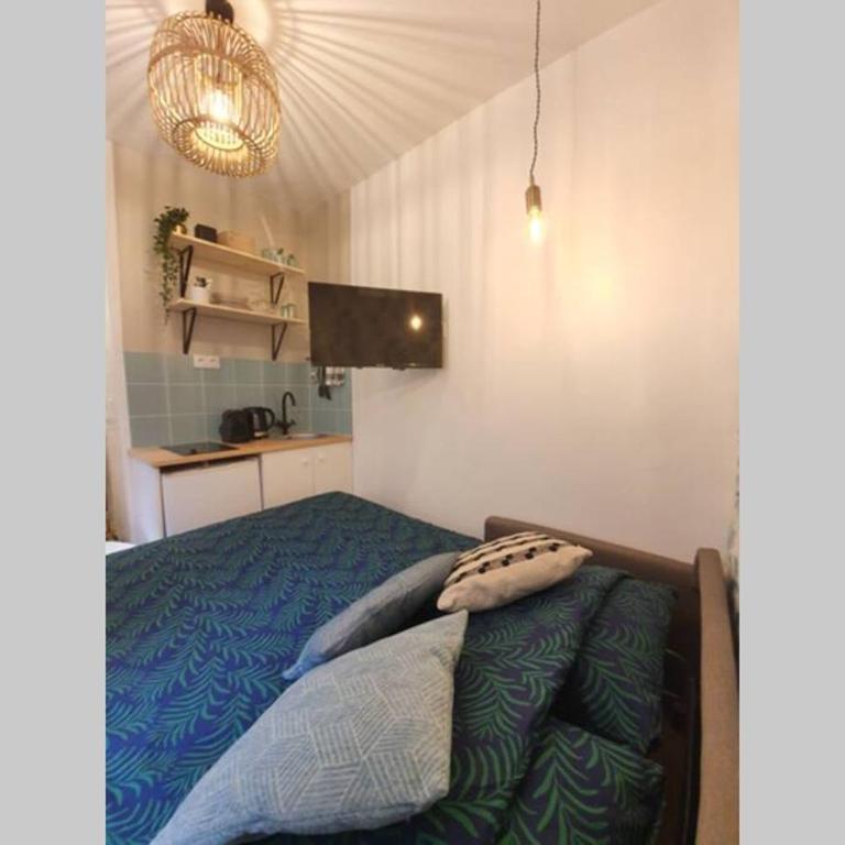 Montmartre Jungle - Studio - 14