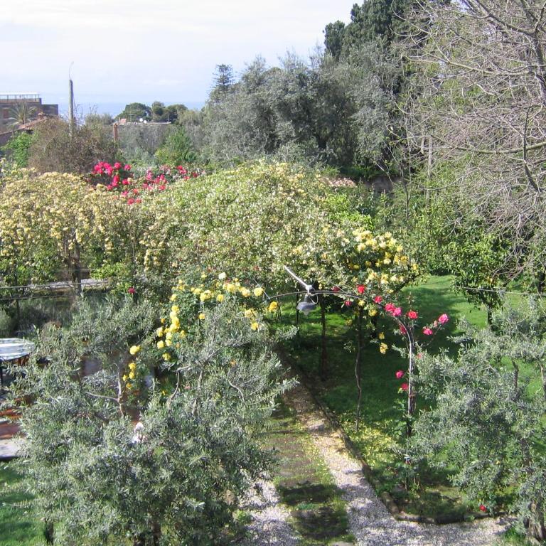 Chalet Lidia - Chalet (2 Adulti) - 48