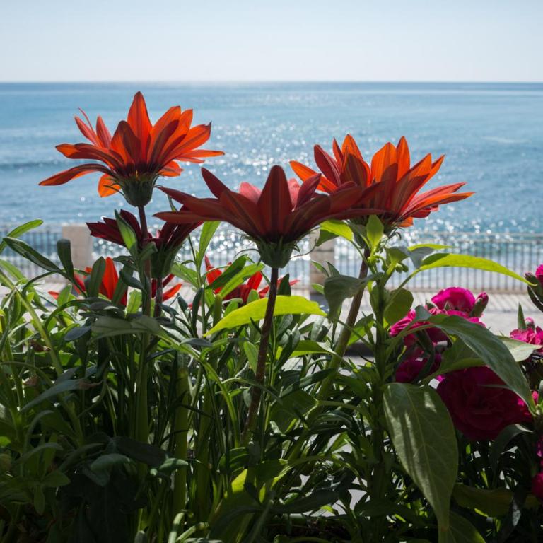 Joanna Studio Flat - Casa Vacanze - 8