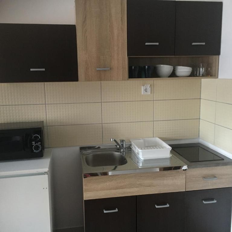 Apartman Andjelina Lux Zlatibor - One-Bedroom Apartment - 16