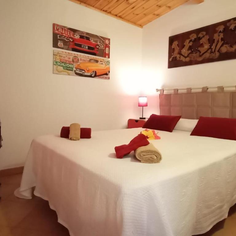 Casa Fico de India accogliente in zona strategica - Casa de 2 dormitorios - 3