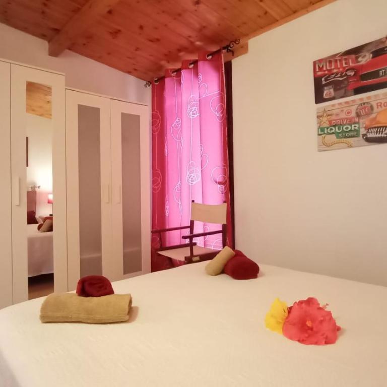 Casa Fico de India accogliente in zona strategica - Casa de 2 dormitorios - 6