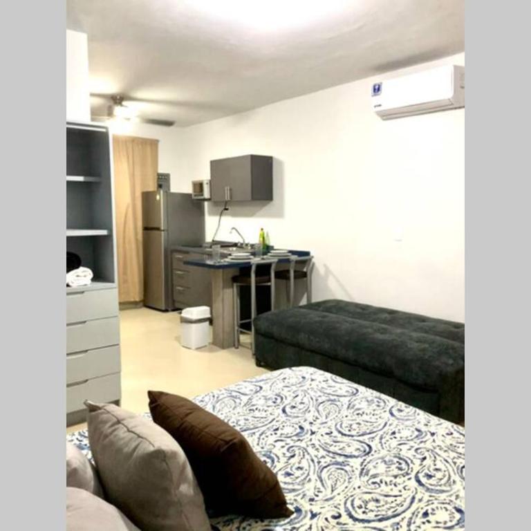 Increíble departamento privado - One-Bedroom Apartment - 1