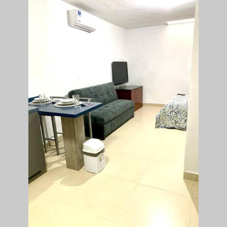 Increíble departamento privado - One-Bedroom Apartment - 7