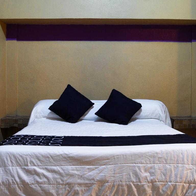 Hotel Platino - Standard Double Room - 1