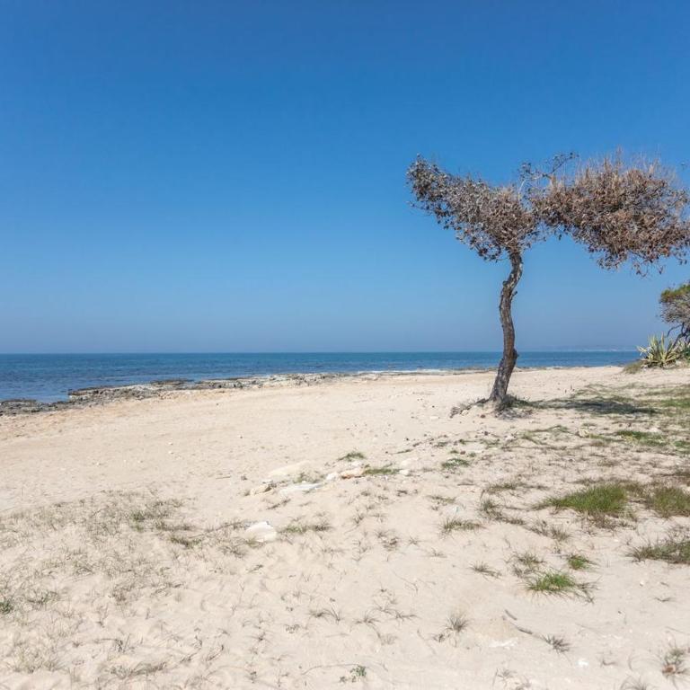 Casa Vacanza Trentapassi Rivabella 2-6 posti letto - Appartamento con 2 Camere da Letto - 24
